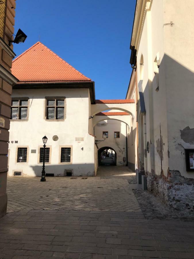 Old Town Apartment Podtatranskeho Košice Exteriér fotografie