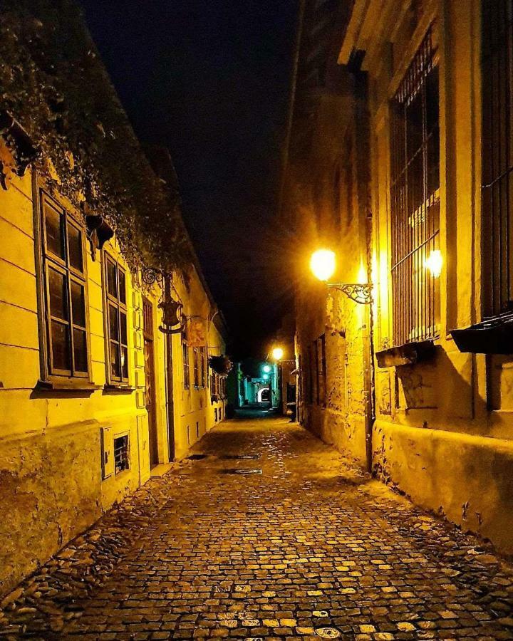 Old Town Apartment Podtatranskeho Košice Exteriér fotografie